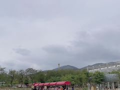 -盈香心动乐园