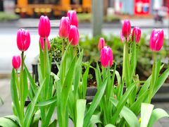 -Wagas沃歌斯(大学路店)