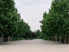 -望湖公园