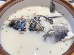 -全乐鱼馆·淳牌有机鱼直营店