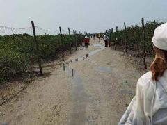 -北海金海湾红树林生态旅游区