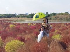 -映月湖中央公园