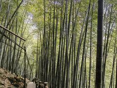 -藏龙百瀑风景区