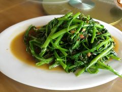 -兴隆槟榔园休闲农庄