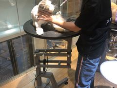 -Pets First伊珊娜洗护·精致美容·家庭式寄养(新会路店)
