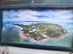 -广东惠东海龟国家级自然保护区