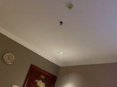 -新偶像足润堂(惠安旗舰店)
