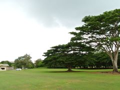 -美国纪念公园