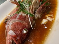 东星斑-小厨师·二十年沈家门小海鲜(百井坊巷店)