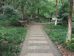 -苏州河梦清园环保主题公园