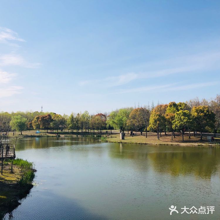 顺带去了樱花园。去的时候樱花还没完全绽放