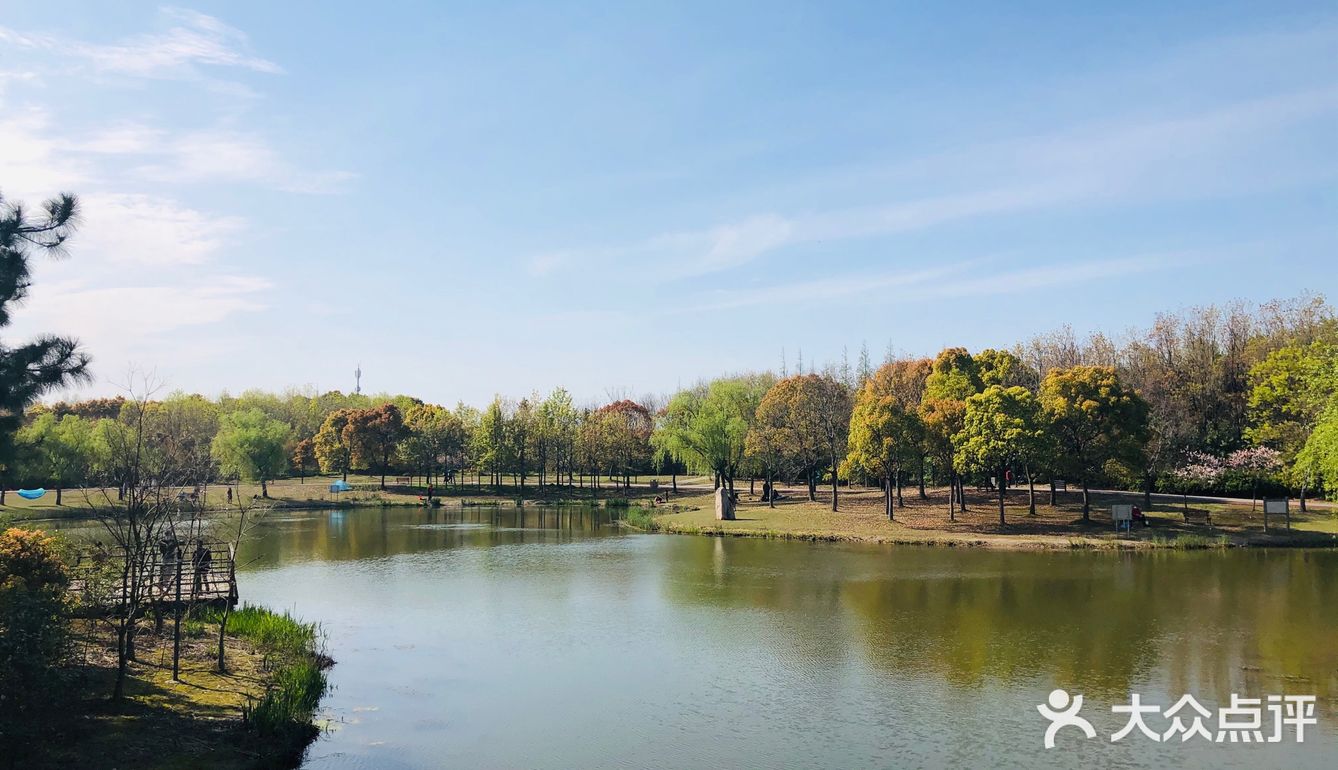 顺带去了樱花园。去的时候樱花还没完全绽放