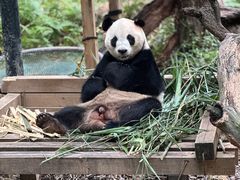 -广州长隆野生动物世界