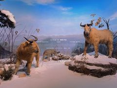 -陕西自然博物馆