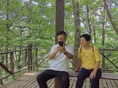 -青峰峡国家森林公园