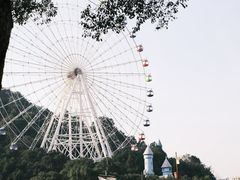 -温州乐园