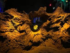 -乐山乌木文化博览苑