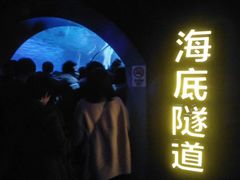 -福州罗源湾海洋世界旅游区