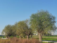 -汉长安城未央宫国家考古遗址公园