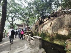 -灵岩山风景区