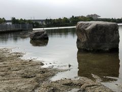 -美兰湖景区