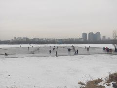 -长白岛森林公园