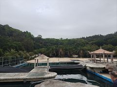 -广东惠东海龟国家级自然保护区