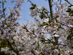 -龙美术馆(西岸馆)