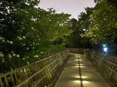 -福道