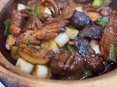 -熠盛粤味·顺德桑拿鸡(永康路店)