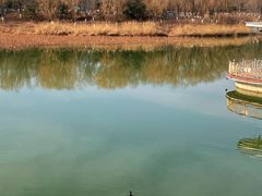 -大兴滨河森林公园