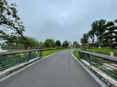 -九科绿洲