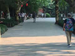 -杭州黄龙洞