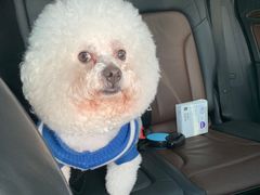 -X88商场(铜仁路店)