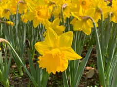 -上海四季花港-停车场