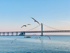 -星海湾跨海大桥