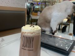 -喵园·猫主题咖啡厅·撸猫·猫咖(国贸店)