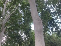 -河南省黄河迎宾馆