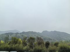 -若水农家乐
