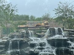 -北京野生动物园