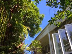 -Fern Forest Cafe