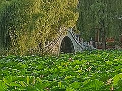 -长春市南湖公园