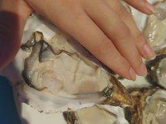 比我手掌还大的生蚝-千岛蚝高压锅生蚝·人参火锅(白云万达店)