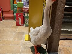 -春梅里卤鹅馆·47年老字号(中山路店)