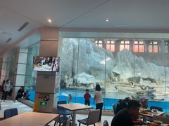 -帝企鹅自助餐厅•儿童岛•真企鹅(长隆企鹅酒店)