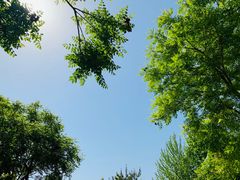 -廊坊市自然公园