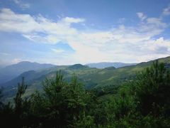 -金陵大勇烧烤·小龙虾·海鲜大咖(竹山路店)