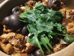 -食爺炭炉鸡煲·烧烤