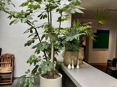 -自如ZSPACE四合院艺术餐厅