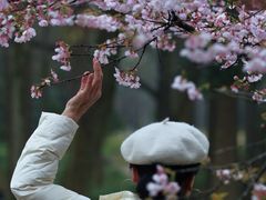 -杭州植物园